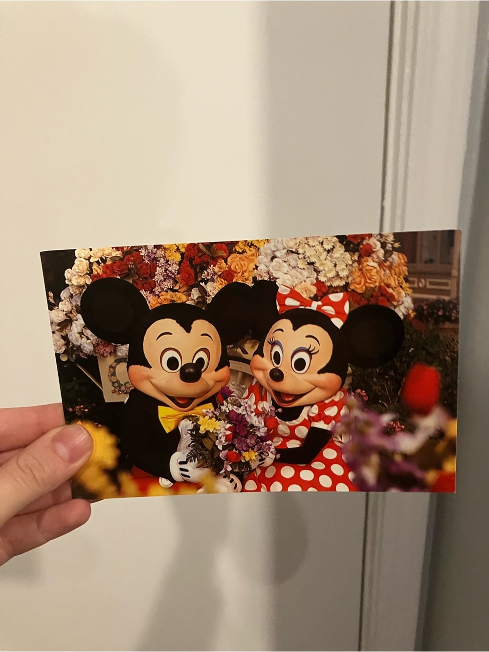 Vintage Walt Disney World Postcard Mickey & Minnie